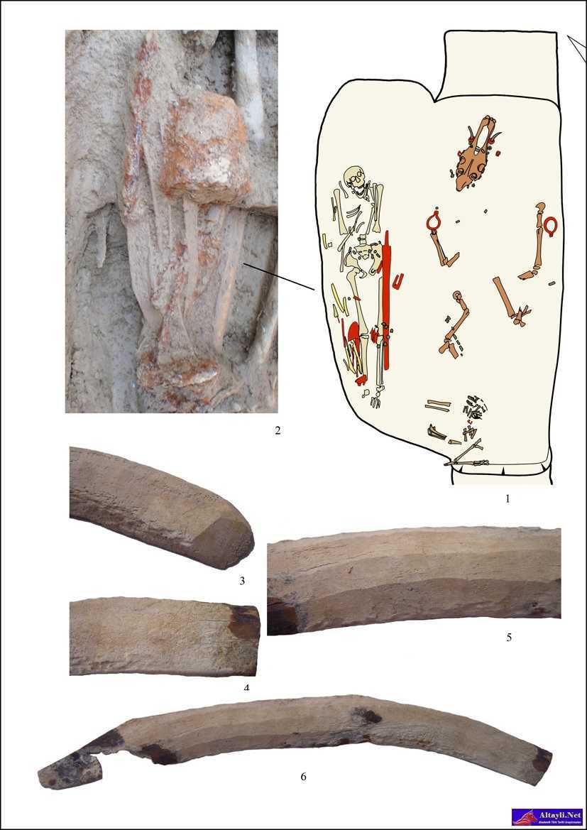 Resim 9. 1. Koşum takımlı mezar (218. obje), 2. Sağ bacağın yanına koyulmuş aletler, 3–6. Yarı işlenmiş yay kemikleri